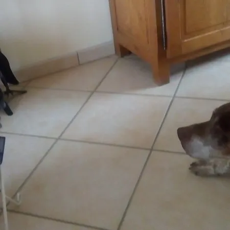 Alaguyauder La ベッド・アンド・ブレックファスト 3*