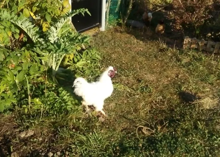 Bed & Breakfast Alaguyauder La